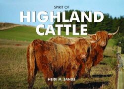 Spirit of Highland Cattle by Matthew Evans-Hardcover