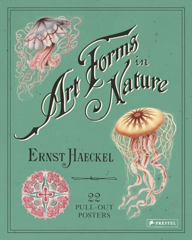 Ernst Haeckel Art Forms in Nature 22 PullOut Posters by Amy Amy Blackthorn Blackthorn-Paperback