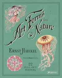 Ernst Haeckel Art Forms in Nature 22 PullOut Posters by Amy Amy Blackthorn Blackthorn-Paperback