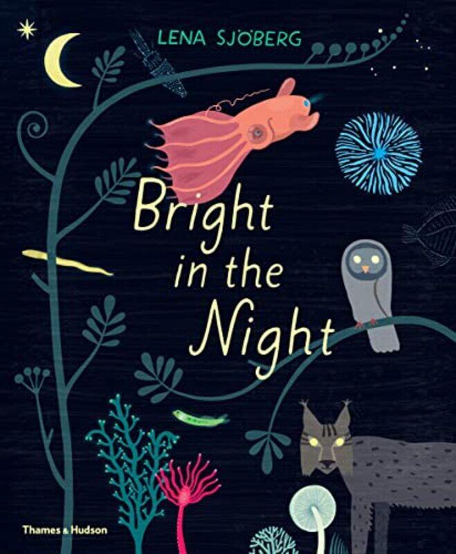 

Bright in the Night by Lena Sjoberg-Hardcover