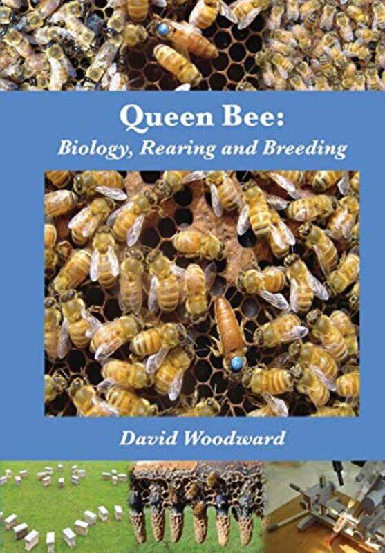 

Queen Bee by Camille Dadant-Paperback