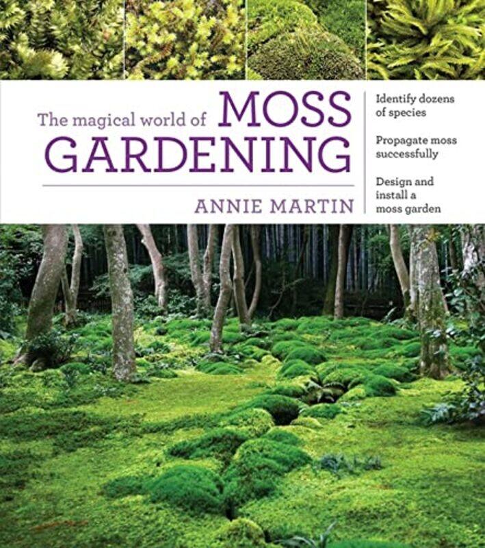 

The Magical World of Moss Gardening by Mason Helen-Paperback