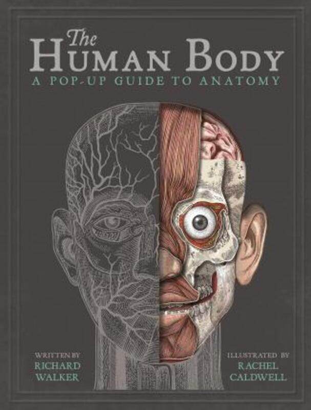 

The Human Body: A Pop-Up Guide to Anatomy.Hardcover,By :Richard Walker