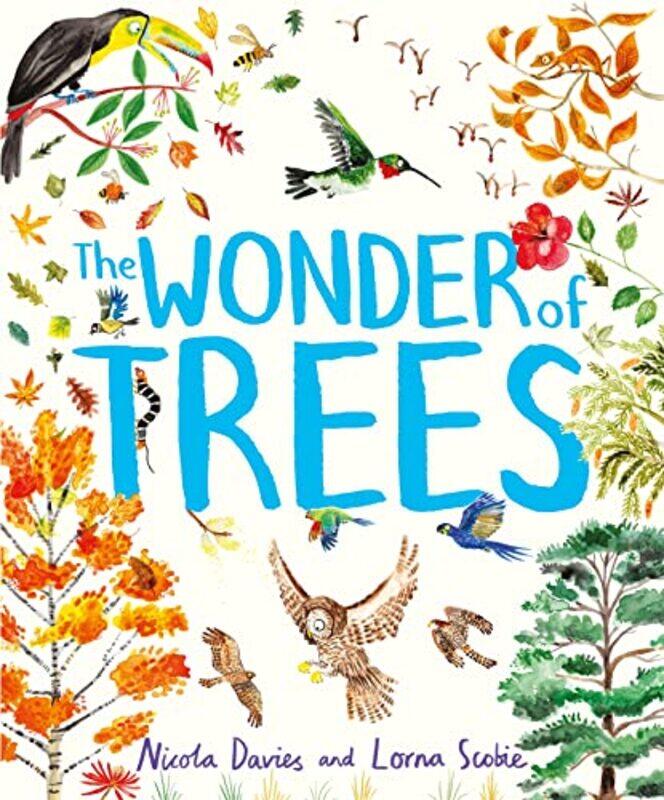 

The Wonder of Trees by Nicola DaviesLorna Scobie-Hardcover