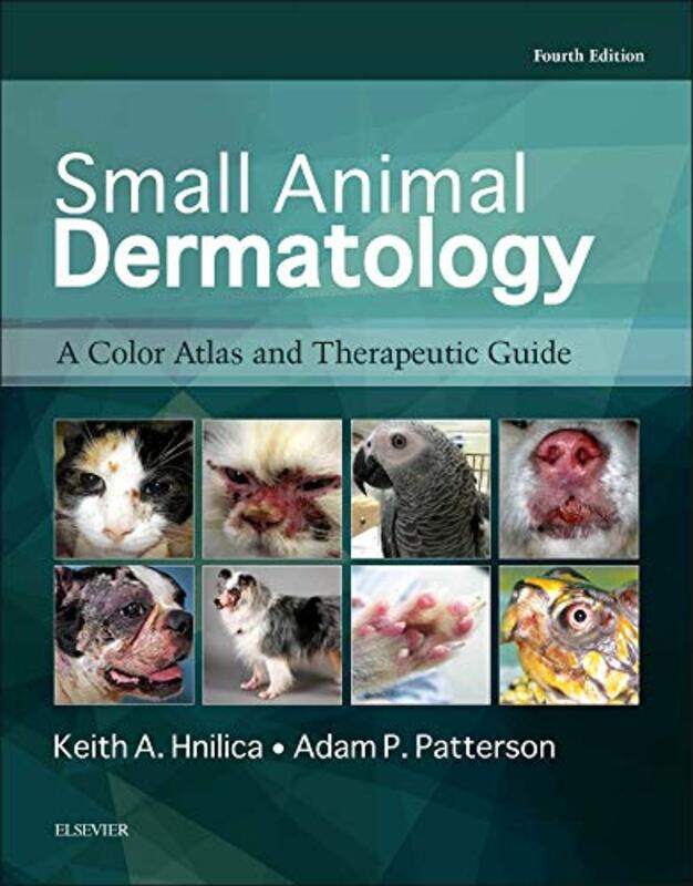 

Small Animal Dermatology by Alice Running-Hardcover