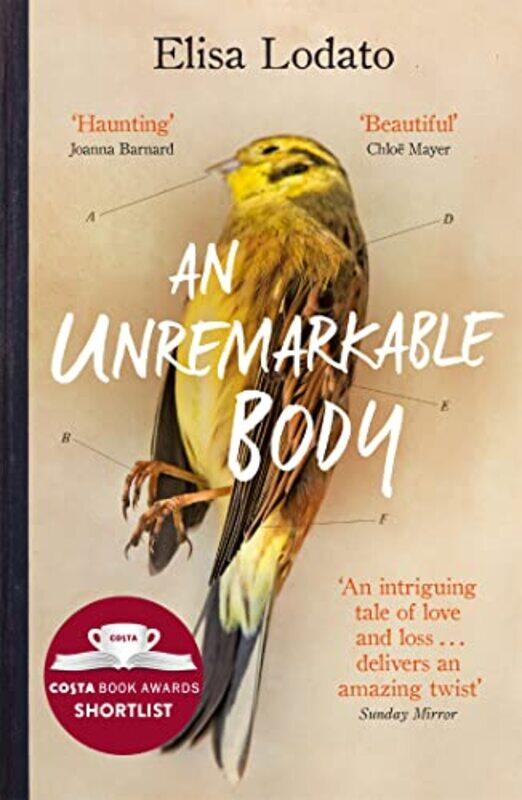 

An Unremarkable Body by Elisa Lodato-Paperback