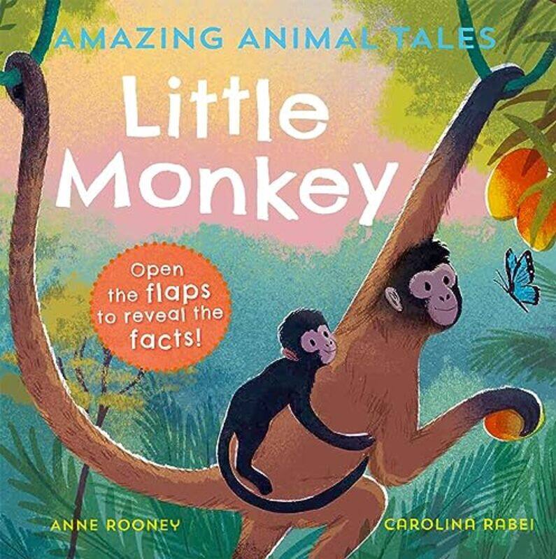 

Amazing Animal Tales Little Monkey by Anne RooneyCarolina Rabei-Paperback