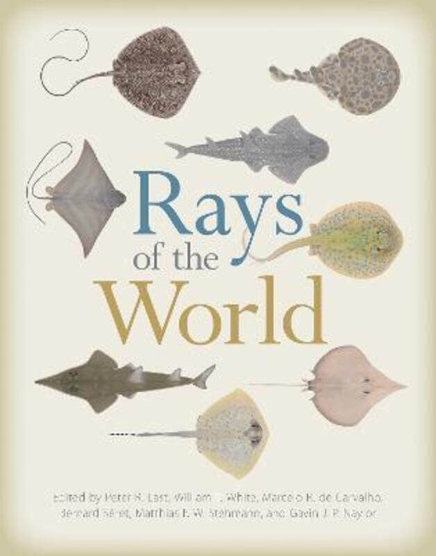 

Rays of the World.Hardcover,By :Peter Last