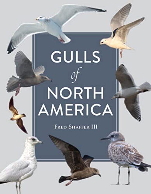 

Gulls of North America by Dirk HilbersKees Woutersen-Paperback