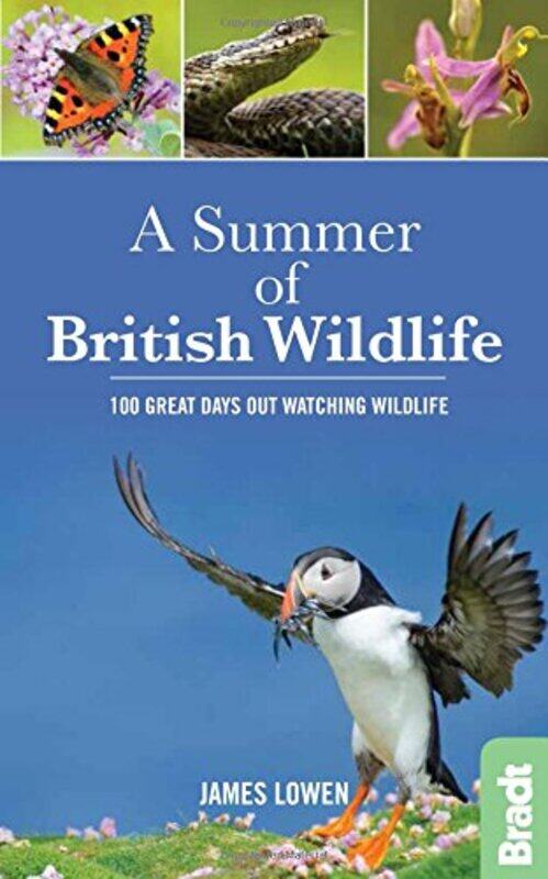 

A Summer of British Wildlife by Abteen St George's University Hospital London MostofiMarco Stanford University California LeeNihal Lancashire Teaching