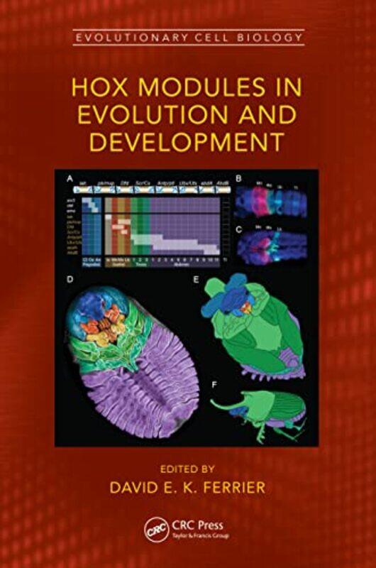 

Hox Modules in Evolution and Development by David E K Ferrier-Hardcover