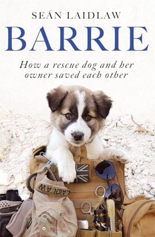 

Barrie by Sean Laidlaw-Paperback