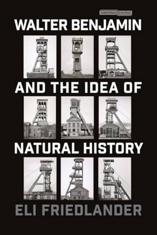 

Walter Benjamin and the Idea of Natural History by Eli Friedlander-Paperback