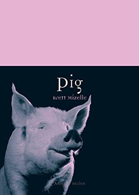 

Pig by Michael Pearson-Paperback
