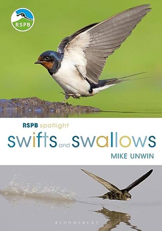 

RSPB Spotlight Swifts and Swallows by Mike Unwin-Paperback