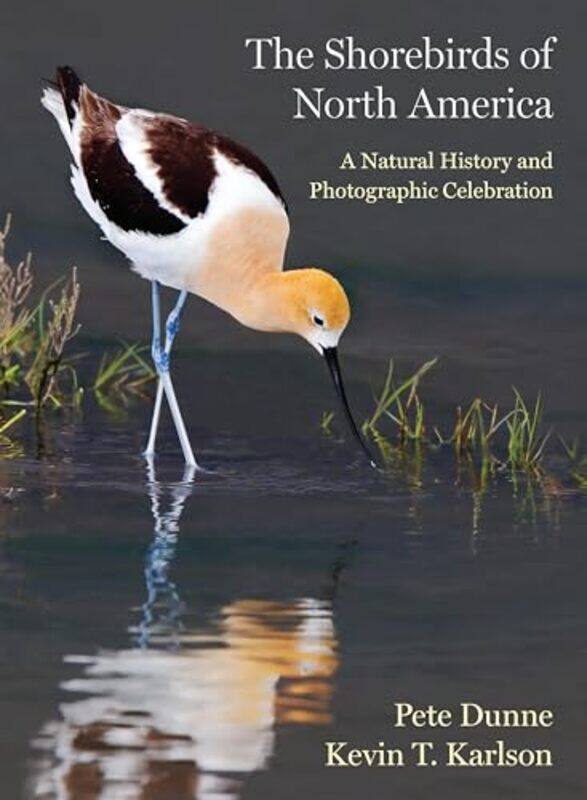 

Shorebirds Of North Amer By Dunne Pete - Hardcover