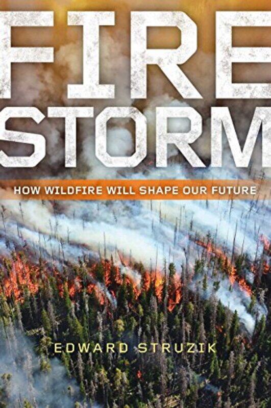 

Firestorm by Edward Struzik-Paperback