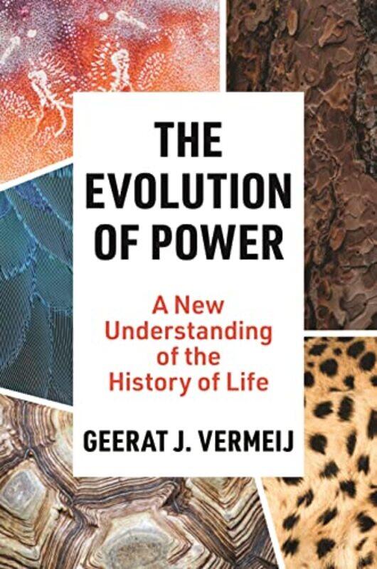 

The Evolution of Power by Geerat Vermeij-Hardcover