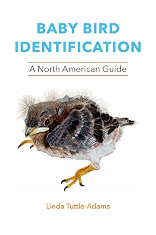 

Baby Bird Identification by Linda Tuttle-Adams-Paperback