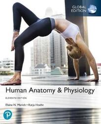 Human Anatomy & Physiology Global Edition ,Paperback By Elaine Marieb
