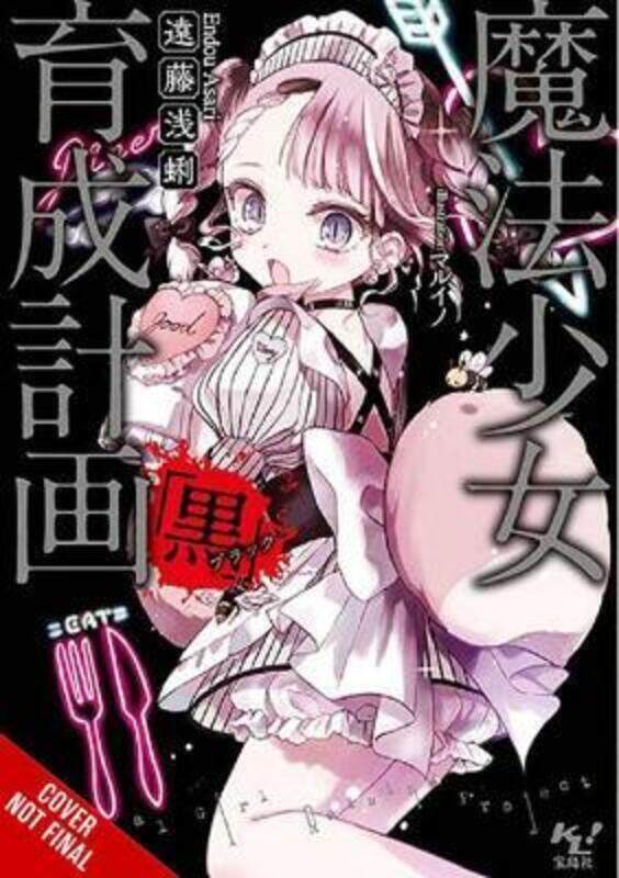 

Magical Girl Raising Project, Vol. 13 (Light Novel),Paperback,By :Asari Endou