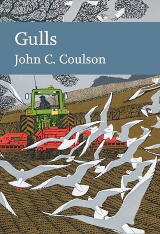 

Gulls by Sergey Author Komissarov-Hardcover