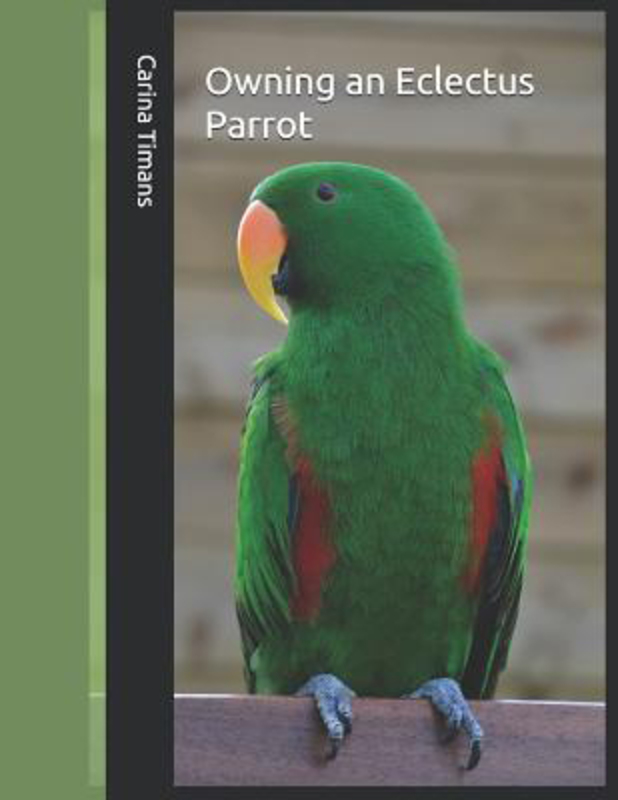 Owning an Eclectus Parrot, Paperback Book, By: Carina Timans