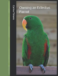 Owning an Eclectus Parrot, Paperback Book, By: Carina Timans