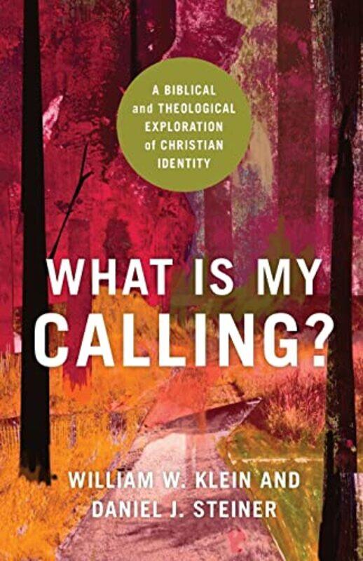 

What Is My Calling A Biblical and Theological Exploration of Christian Identity by William W KleinDaniel J Steiner-Paperback