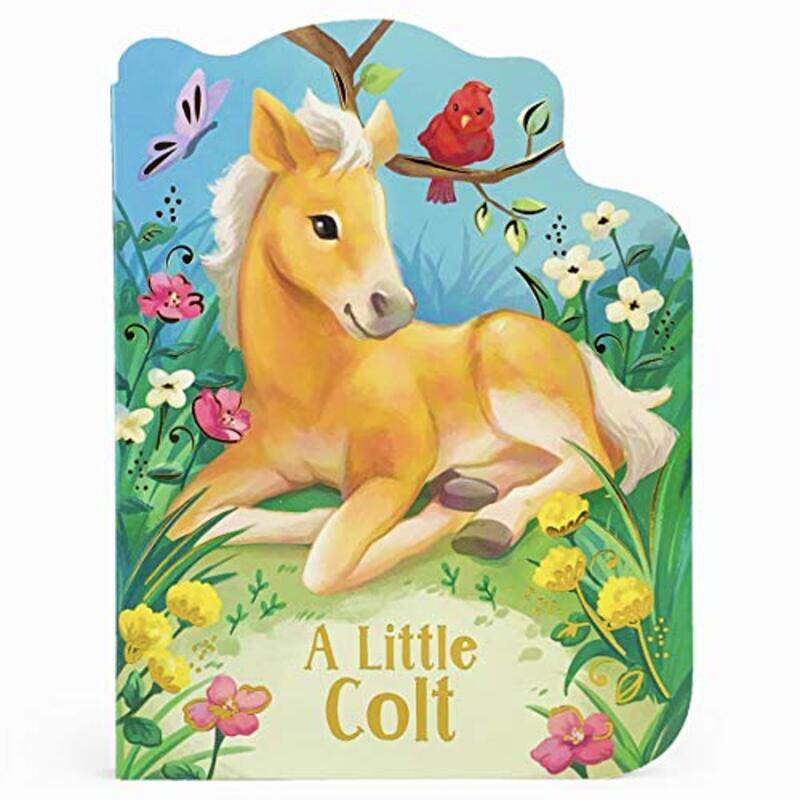 

Little Colt By Wren Rosalee - Hardcover