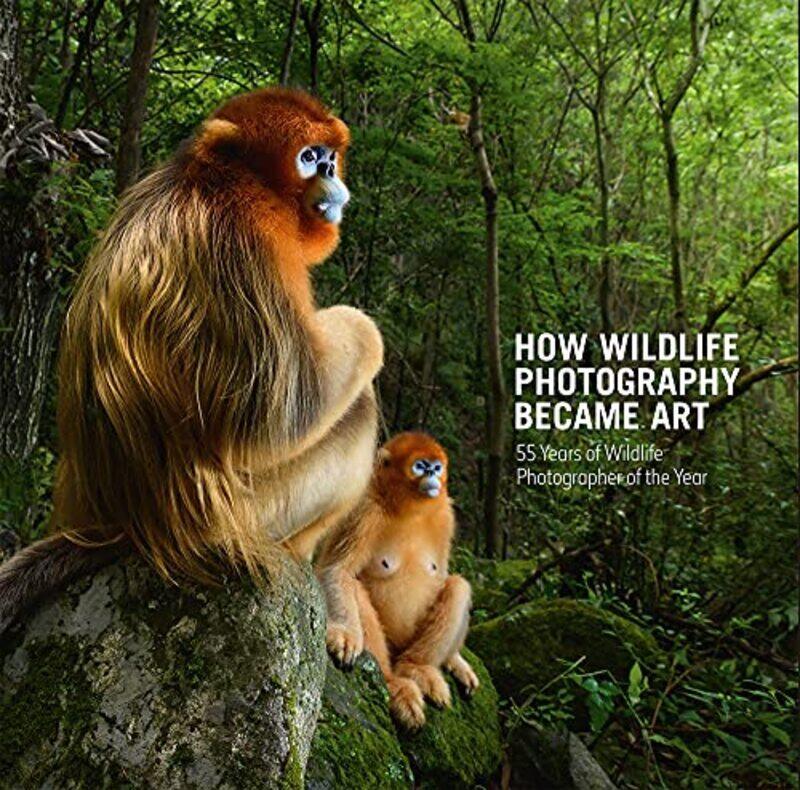 

How Wildlife Photography Became Art,Paperback,By:Rosamund Kidman Cox