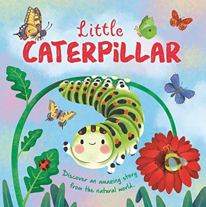 

Little Caterpillar By Igloo - Hardcover