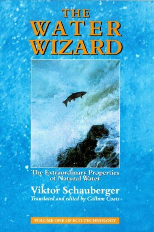 

The Water Wizard by Mike Clark-Paperback