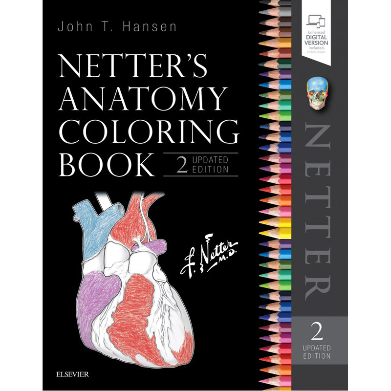 

Netter's Anatomy Coloring Book Updated Edition, Paperback Book, By: John T. Hansen