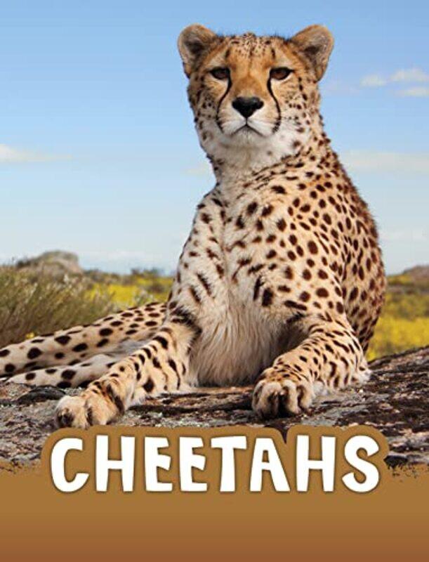 

Cheetahs by Matthew B MilesA Michael HubermanJohnny Saldana-Paperback