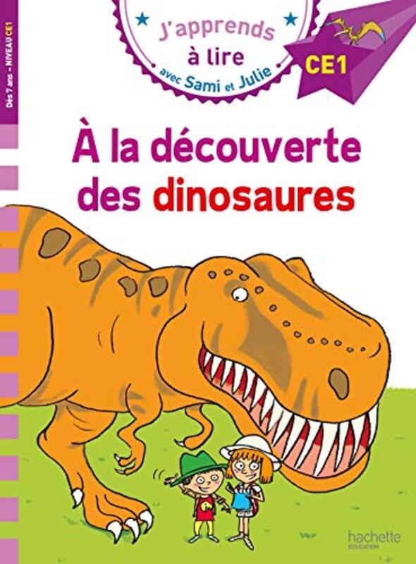 Sami Et Julie Ce1 A La Decouverte Des Dinosaures by MASSONAUD BONTE -Paperback