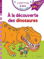 Sami Et Julie Ce1 A La Decouverte Des Dinosaures by MASSONAUD BONTE -Paperback