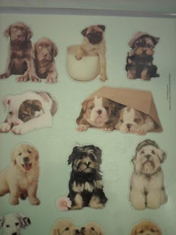 Rachael Hale Dogs Fridge Magnets