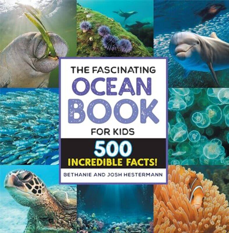 

Fascinating Ocean Bk For Kids By Hestermann Bethanie - Paperback