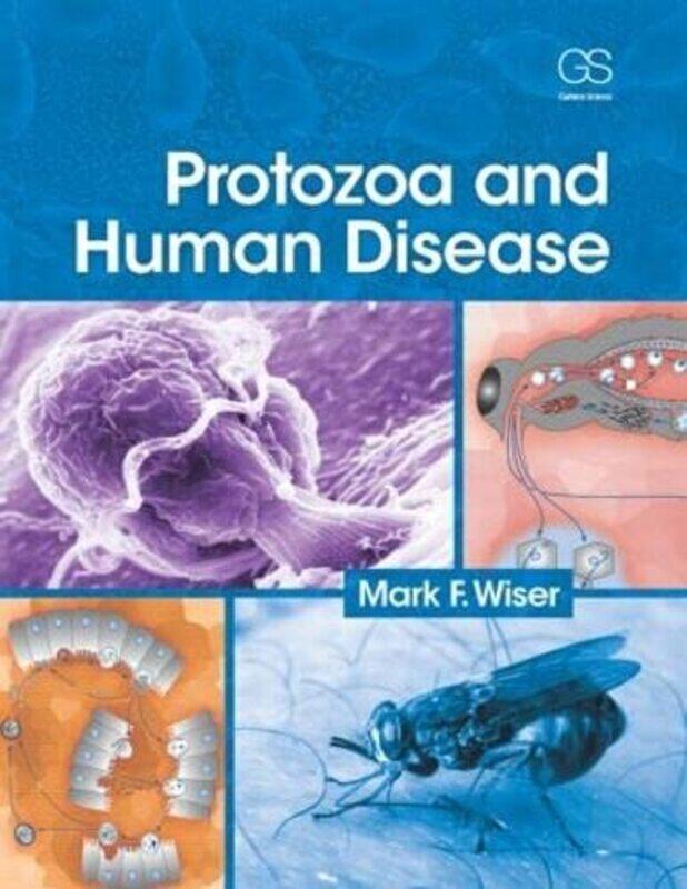 

Protozoa and Human Disease by Daniel O'Quinn-Paperback