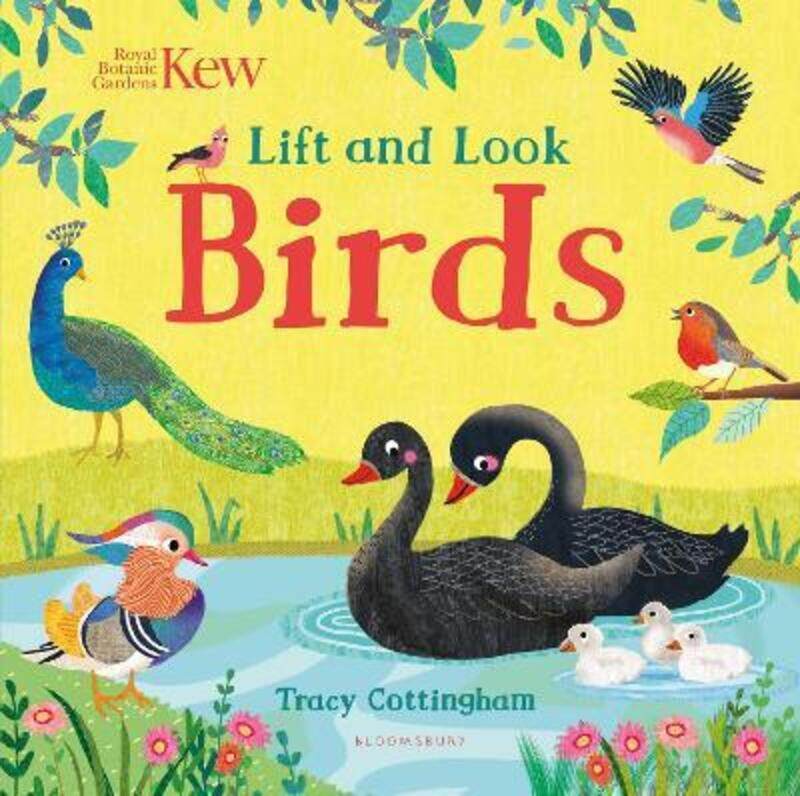 

Kew: Lift and Look Birds.paperback,By :Cottingham, Tracy