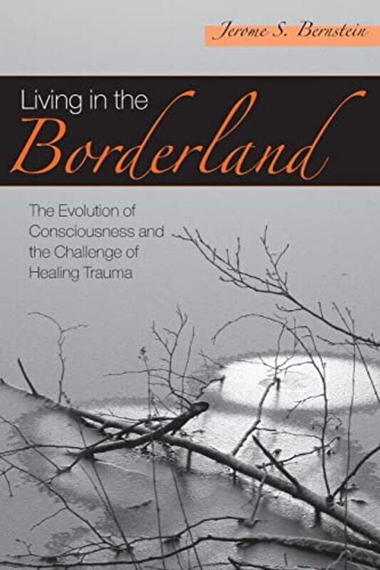 

Living in the Borderland by Jerome S in private practice, New Mexico, USA Bernstein-Paperback