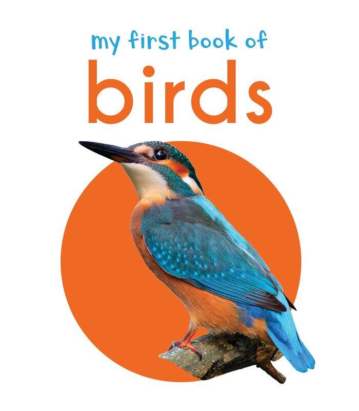 

My First Book Of Birds: First Board Book, Board Book, By: Wonder House Books