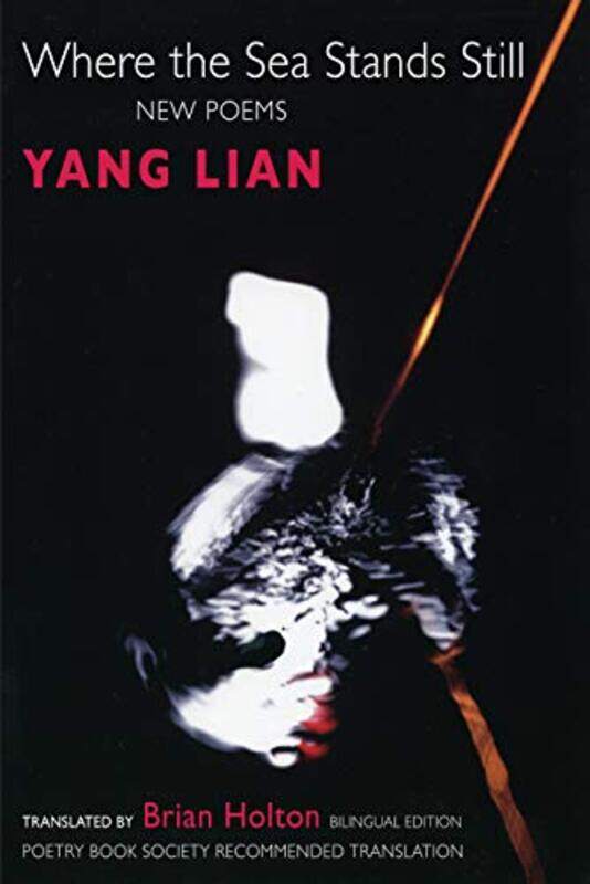 

Where the Sea Stands Still by Yang LianBrian Holton-Paperback