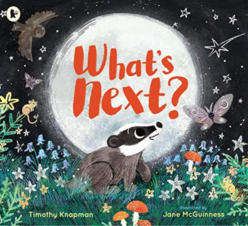 Whats Next? by Timothy KnapmanJane McGuinness-Paperback