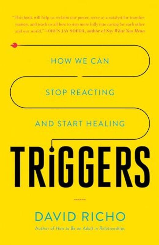 

Triggers by David Richo-Paperback
