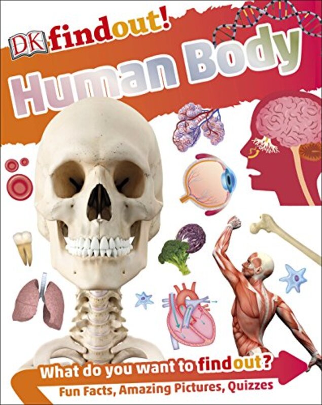 

Dk Find Out! Human Body, Paperback Book, By: DK