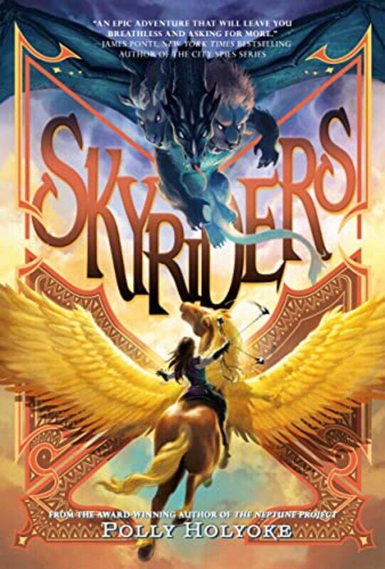 

Skyriders , Hardcover by Holyoke, Polly