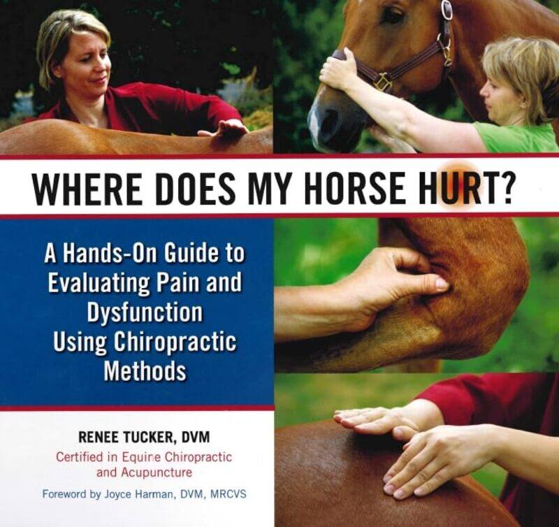

Where Does My Horse Hurt by Renee Tucker-Hardcover