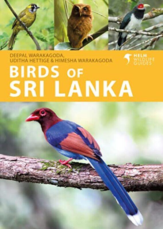 

Birds Of Sri Lanka Helm Wildlife Guides By Himesha -Paperback